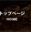 トップページ