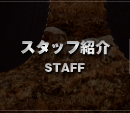 スタッフ紹介