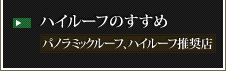 ハイルーフのすすめ パノラミックルーフ、ハイルーフ推奨店